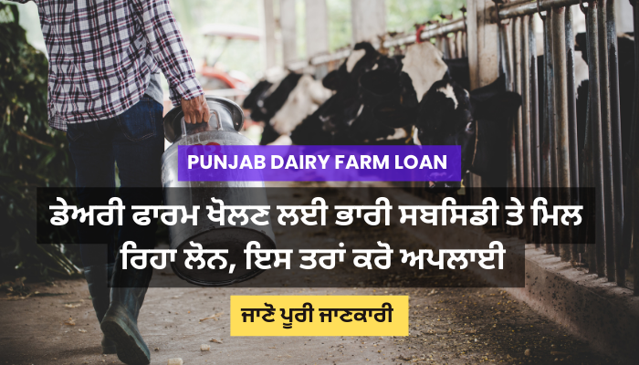 Punjab Dairy Farm Loan 